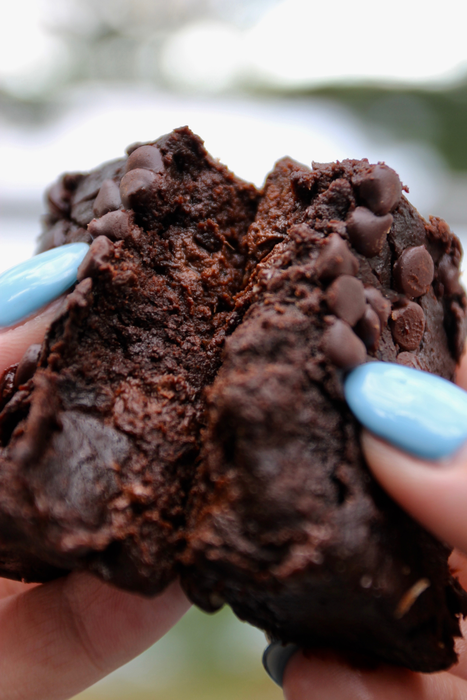 Shockingly Healthy! Brownie Double Chocolat Sans Gluten (70g) **GTA UNIQUEMENT**